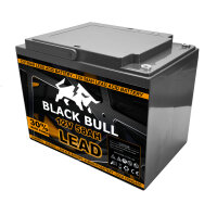 Blackbull 72V 45AH Akku Zyklenfest (6 Stk.)